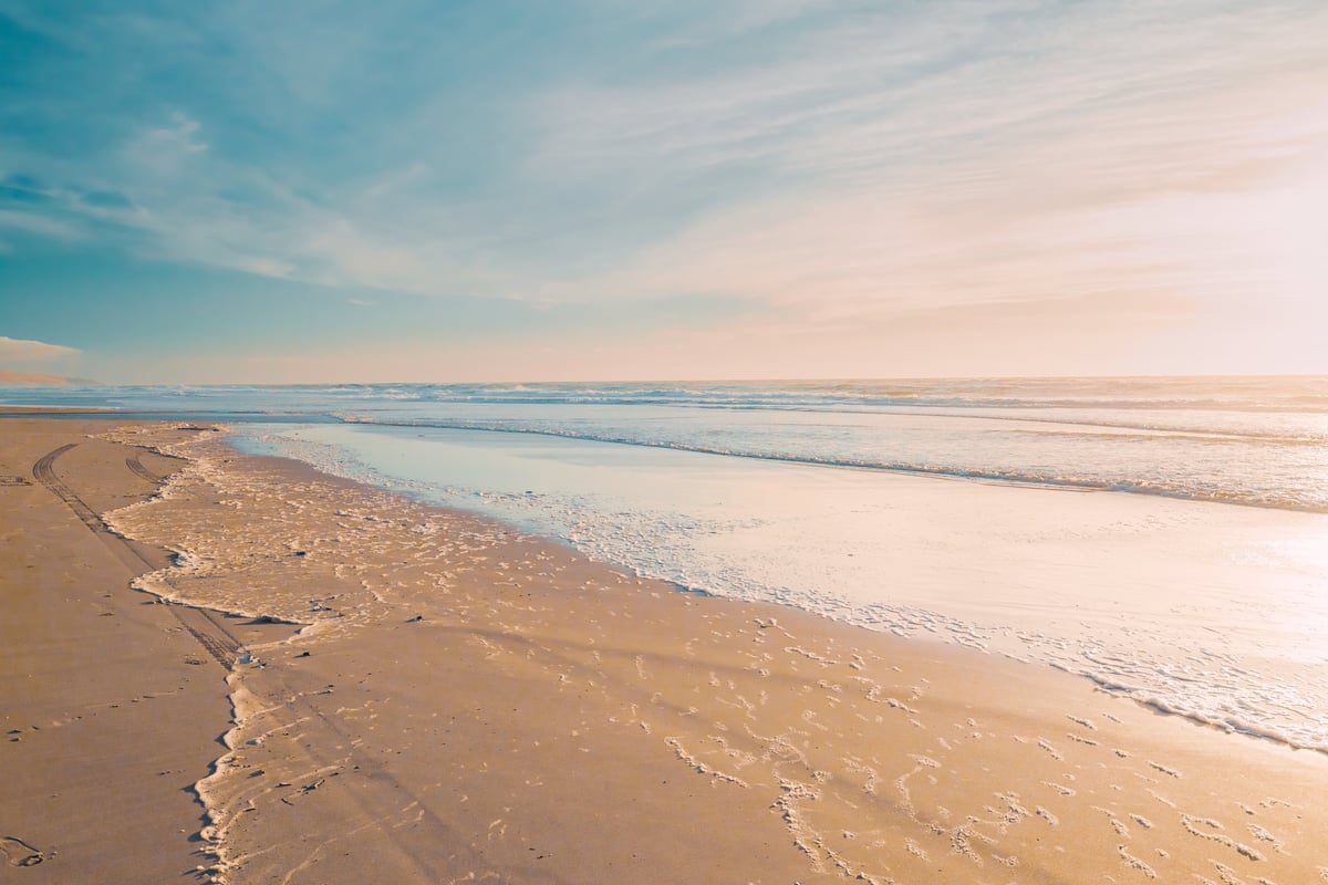 Summer Black Sea coast beach