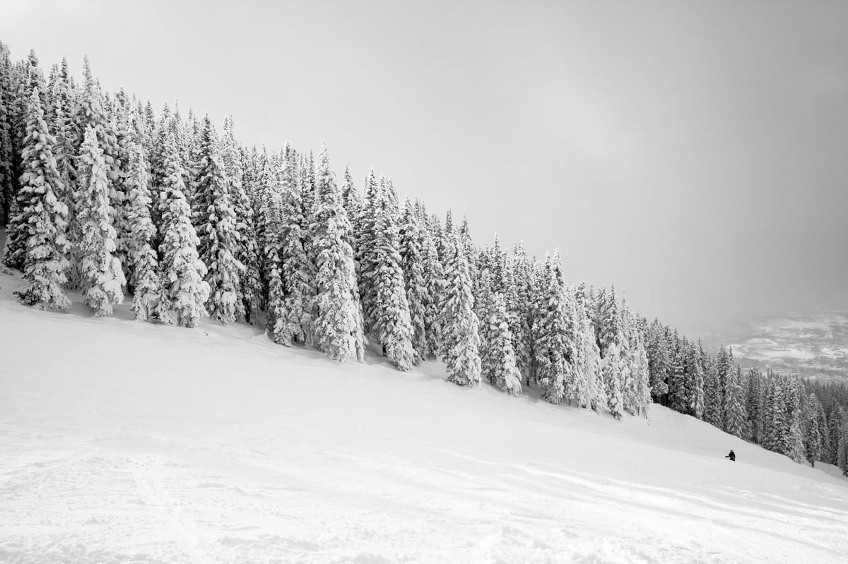 Gomismta catskiing - Untouched powder paradise in Georgia's most exclusive backcountry zone