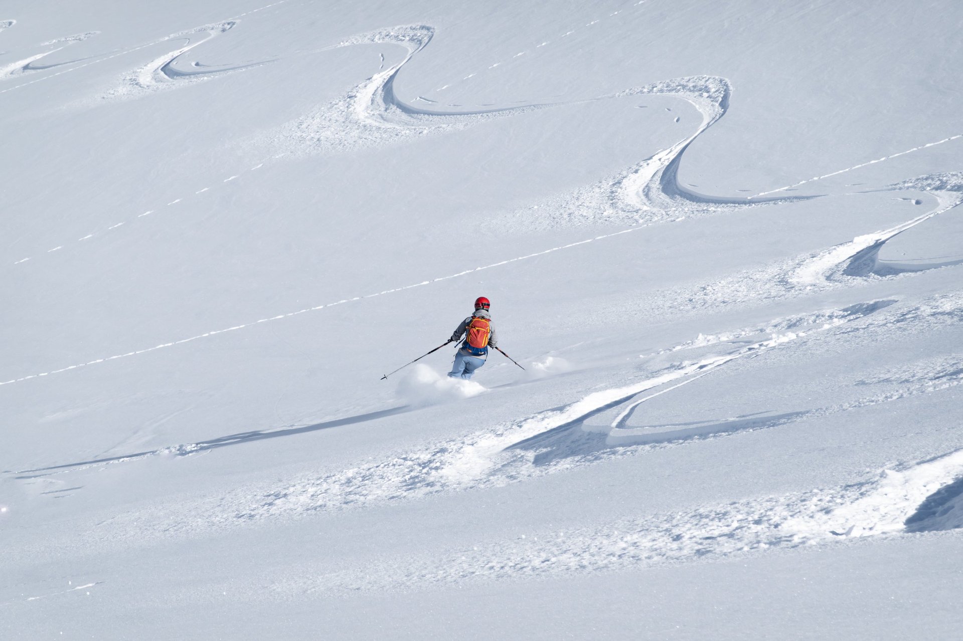 Freeride skiing in fresh powder