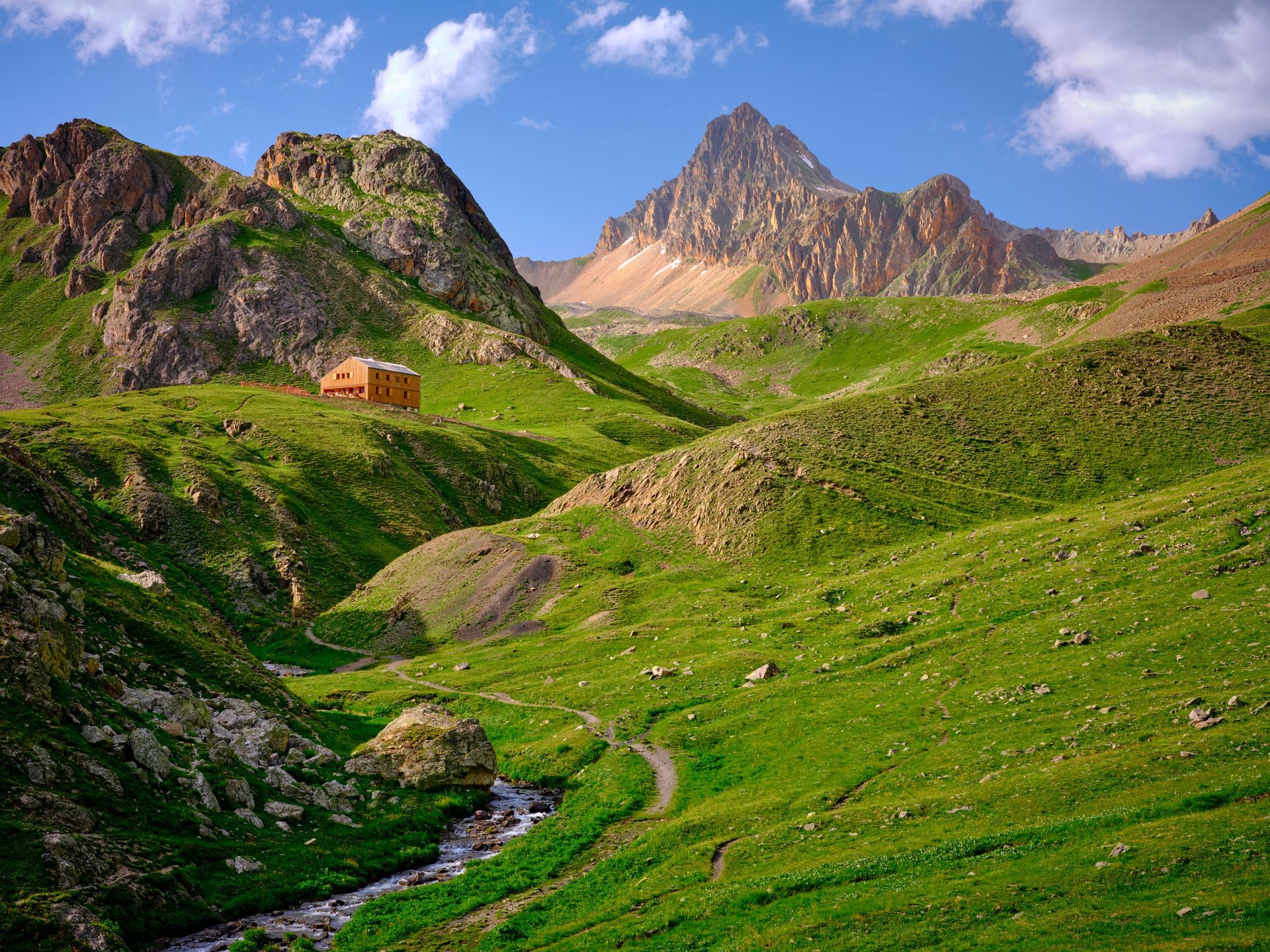Summer alpine meadows Georgia Caucasus mountains