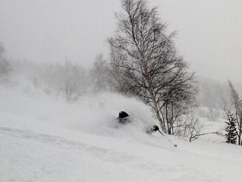 Snowboarder carving through deep powder snow on a steep mountain slope with bare trees and misty forest in background