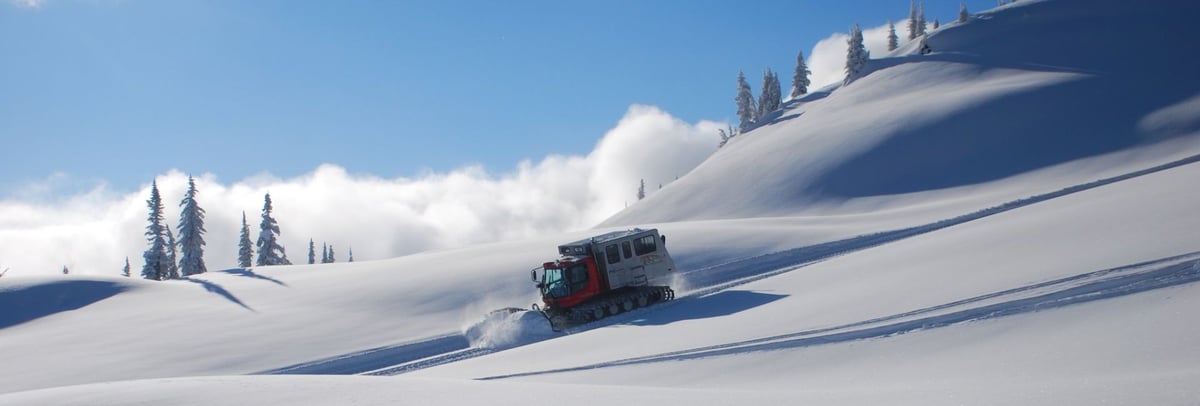 Bakhmaro catskiing fresh powder tracks in pine forest