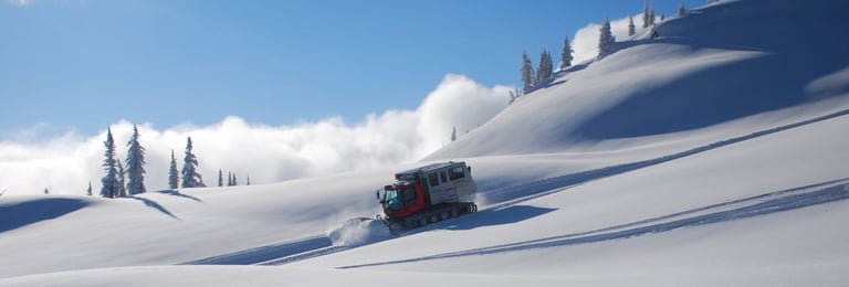 Bakhmaro catskiing - pristine powder in Georgia