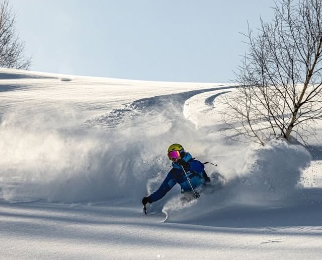 Skier in colorful jacket carving down snowy mountain slope with bare trees and snow-covered hillside