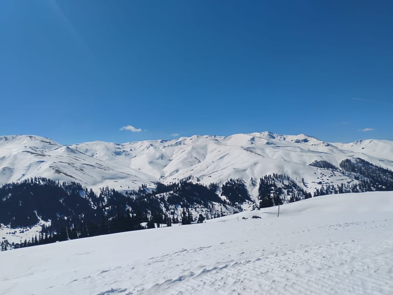 Snow-covered mountain landscape with forested slopes and a clear blue sky