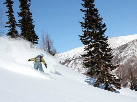 Snowboarder descending a snowy mountain slope surrounded by evergreen trees under clear blue sky