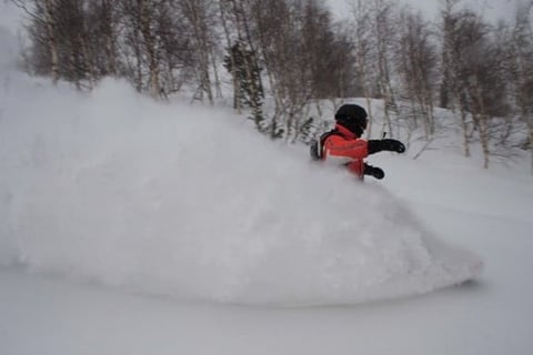 A snowboarder in a red jacket riding down a snowy mountain slope surrounded by bare trees